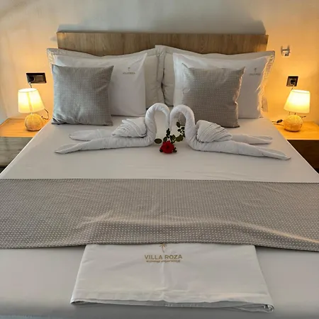 Roza Hotel *
